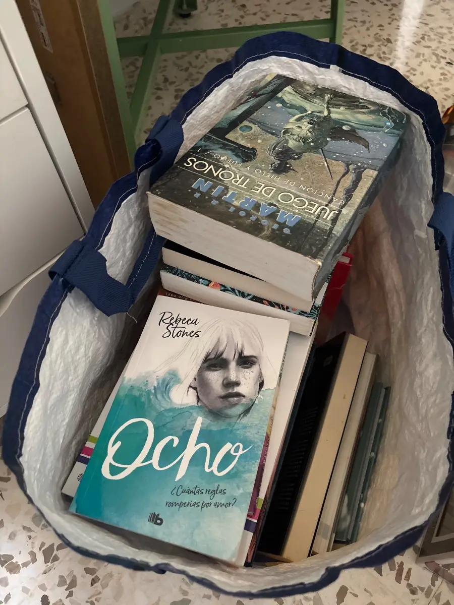 Lote de libros