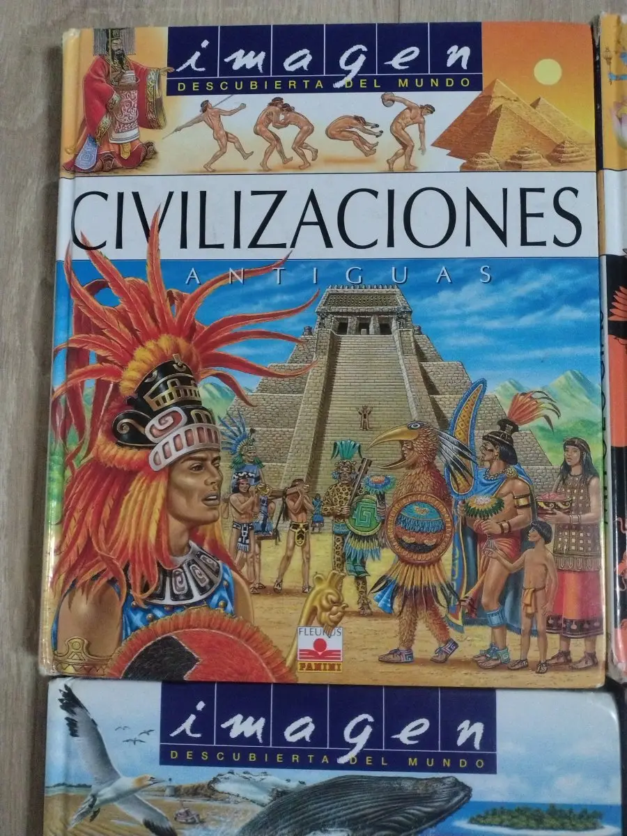 Lote de 5 libros: El mar: universo fantástico, Civilizaciones Antiguas y más