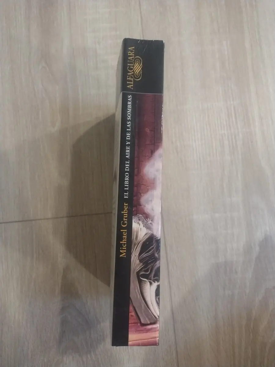 El libro del aire y de las sombras