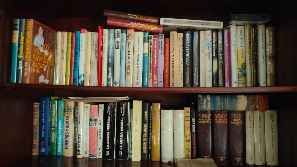 Lote de 109 libros: El valle de los leones, El rojo emblema del valor y más