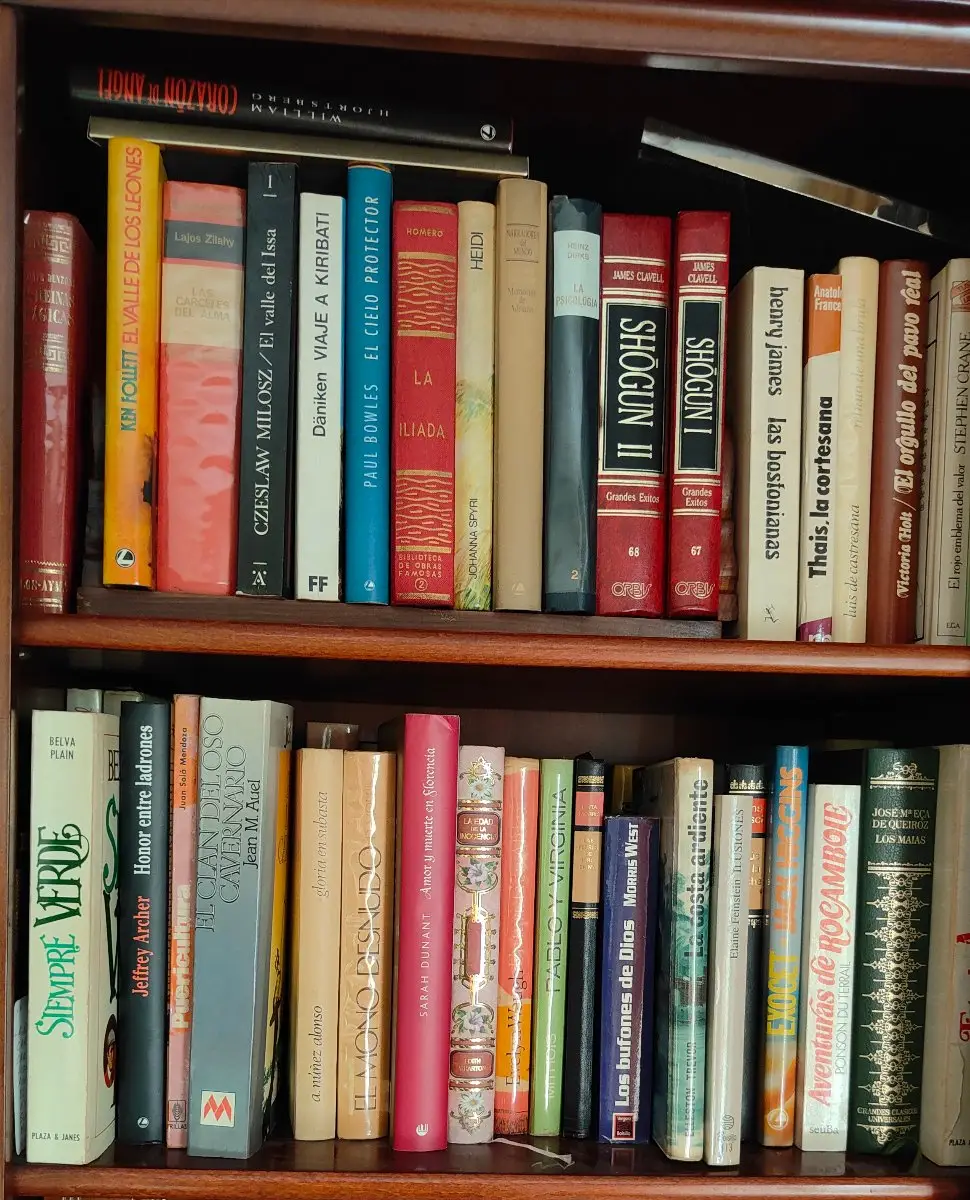 Lote de 109 libros: El valle de los leones, El rojo emblema del valor y más