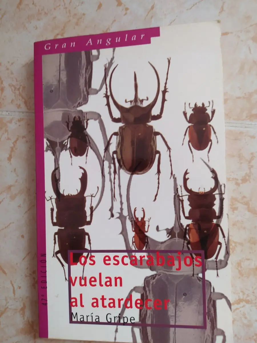 Los escarabajos vuelan al atardecer – foto 5