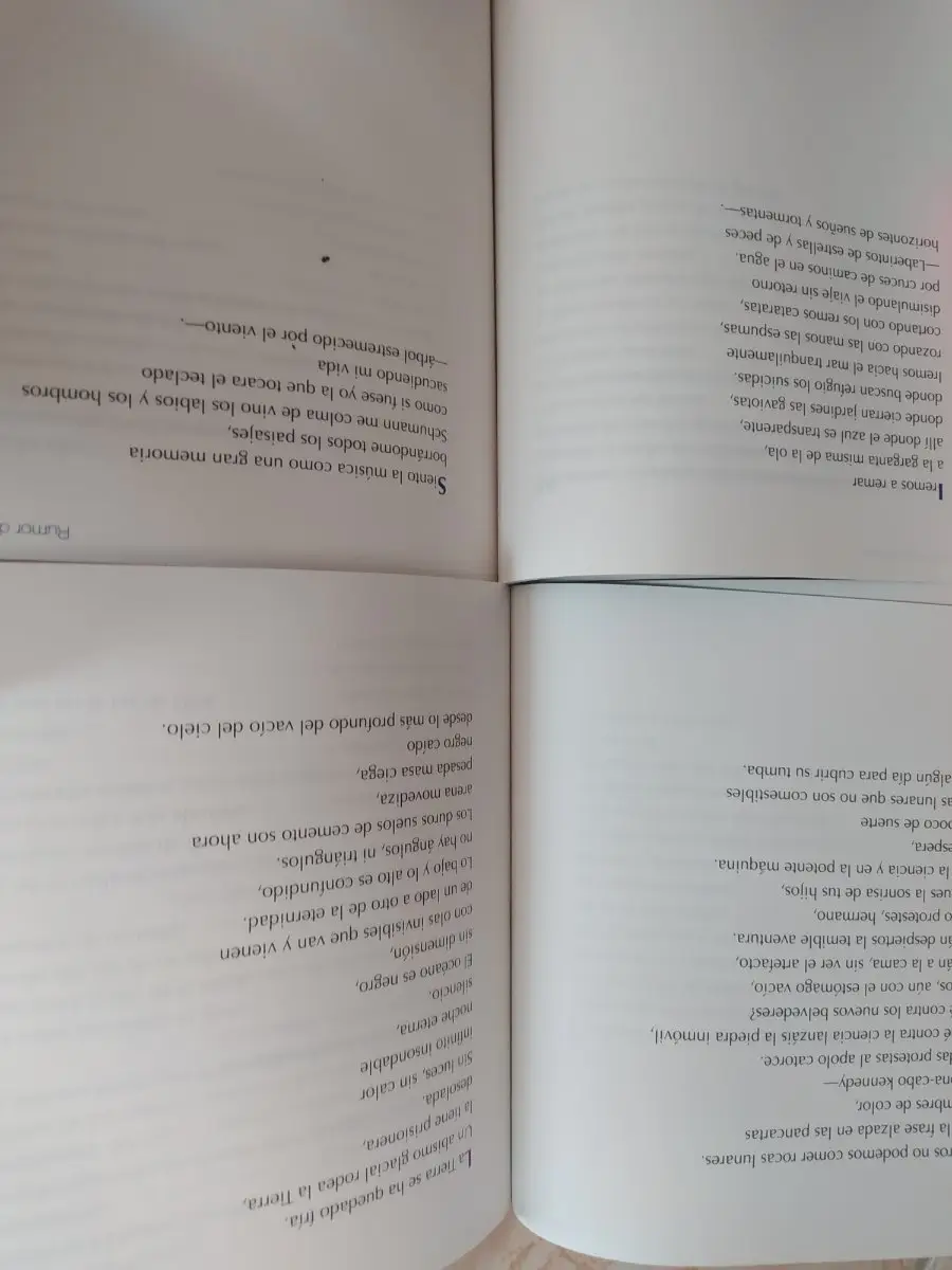 Lote de 2 libros de Digna Palou