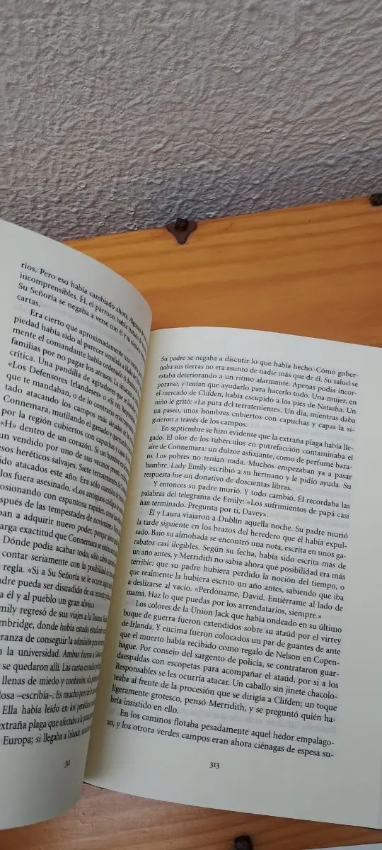 El crimen del "Estrella del mar": adiós a la vieja Irlanda – foto 5