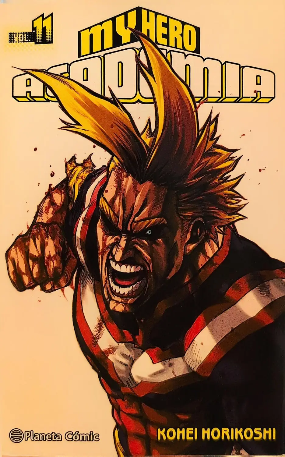 My Hero Academia 11