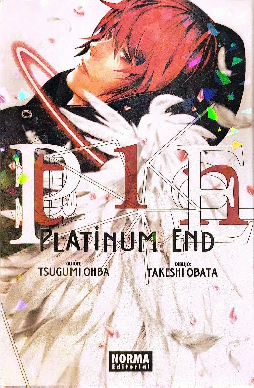 Platinum End 1